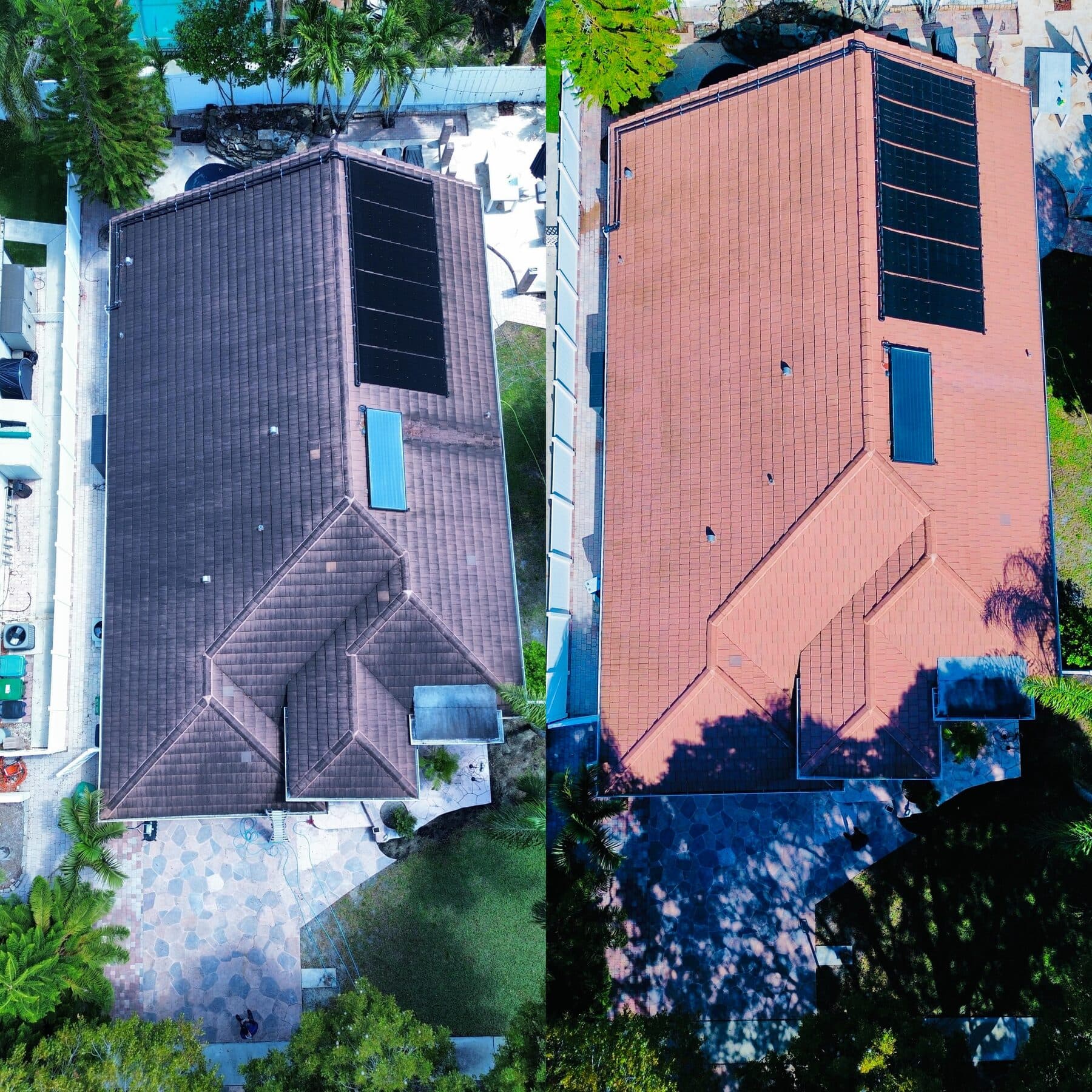 Roof soft-wash — before & after