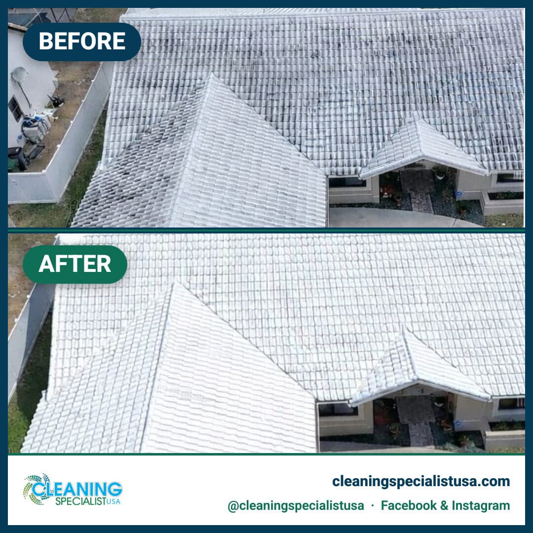 Roof cleaning & soft-wash